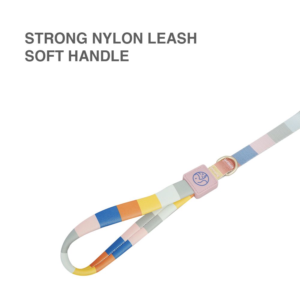 Morandi Multi-color Nylon Dog Leash Padded Handle (Size Small, Length 48", Width 0.6")