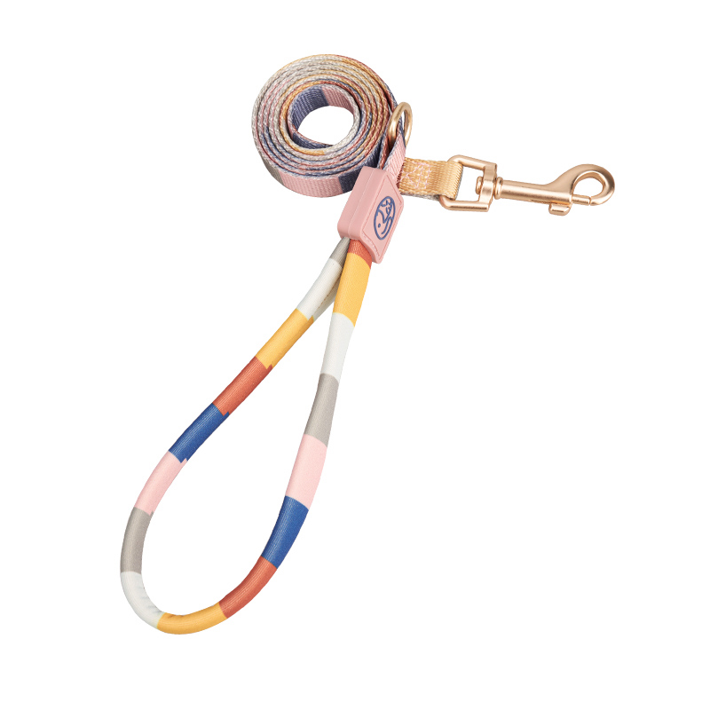 Morandi Multi-color Nylon Dog Leash Padded Handle (Size Medium, Length 48", Width 0.75")
