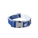Reflective Space Galaxy Dog Collar – Small, Blue Galaxy