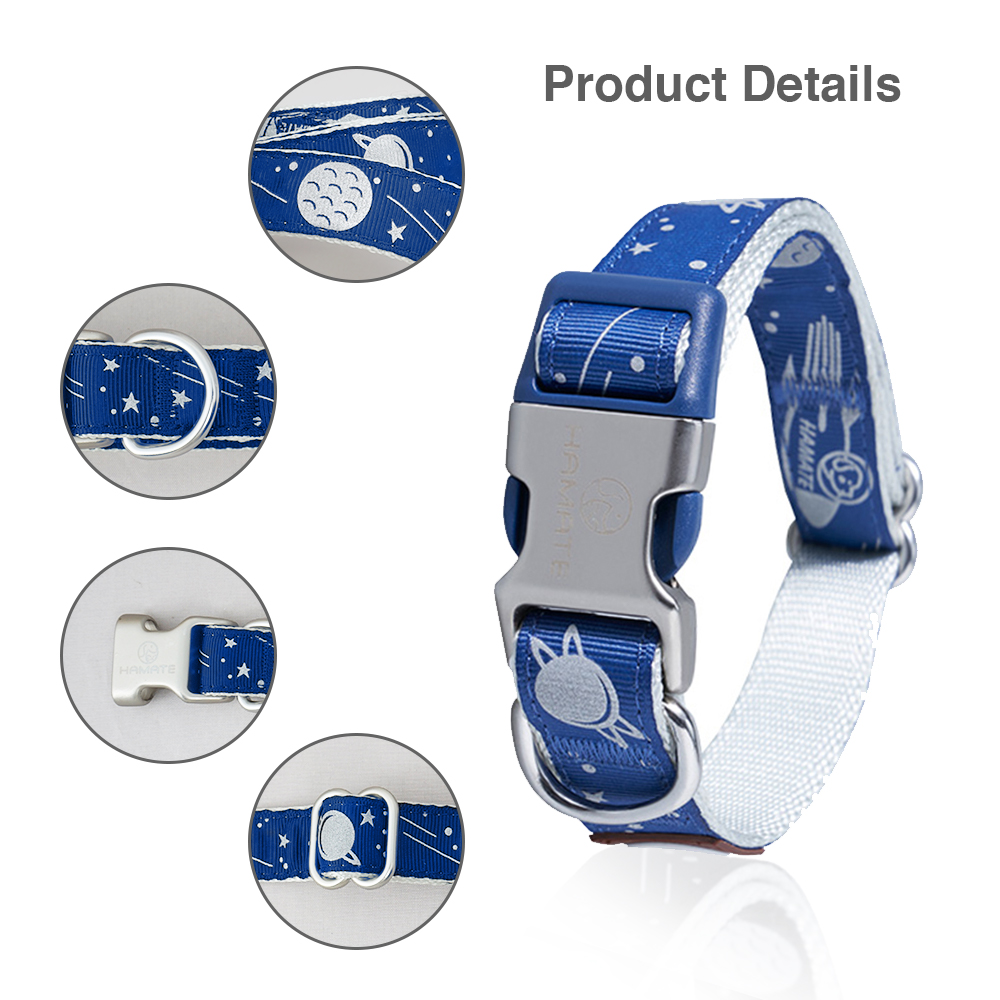 Blue Galaxy Pattern Space Themed Reflective Coating Adjustable Nylon Dog Collar (Size Small, Neck Girth 8.7" - 13.4", Width 0.6")