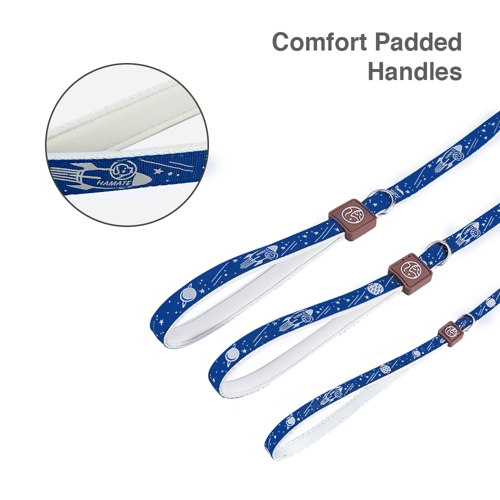 Blue Galaxy Pattern Space Themed Reflective Coating Nylon Dog Leash (Size Small, Length 48", Width 0.6")