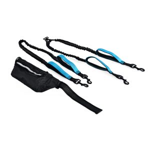 Outdoor Dog Running Set