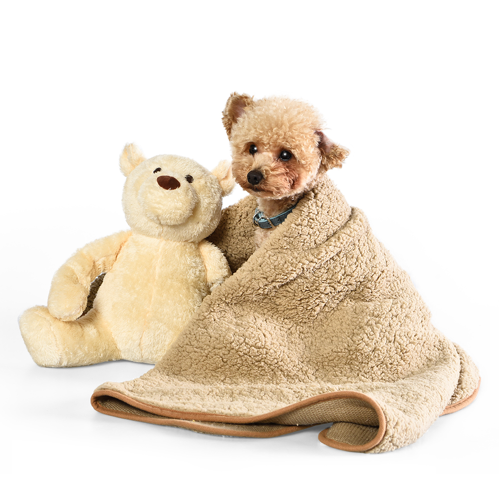 Huggy Bear Heartbeat Dog Plush Toy & Blanket