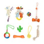 9-Piece Puppy Teething & Interactive Toy Assortment Set
