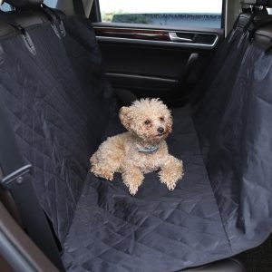 Car Seat Protector