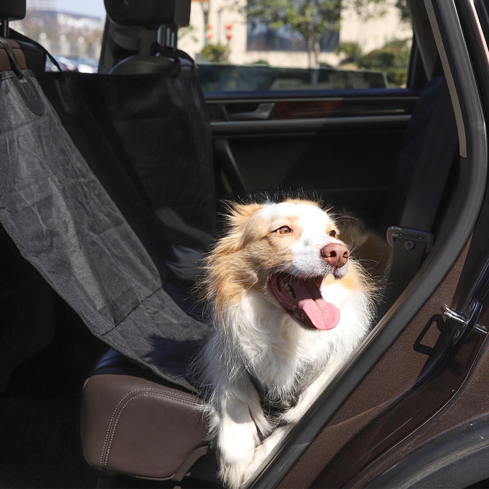 Car Seat Protector